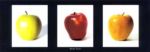 Apples, 2000 Mina  Selis