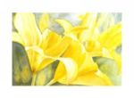 Golden Lilies, 2000 Maud  Durland