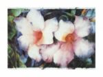 In Full Bloom, 1990 Mira M.  White