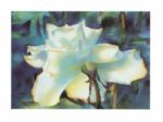 Her Rose, 1996 Mira M.  White