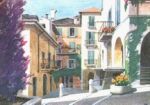 Buganvillea Sandro  Guidi