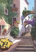 Buganvillea Sandro  Guidi
