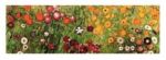 Flowery Garden Gustav  Klimt