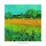 Vue de Arles avec iris  Vincent  van Gogh