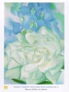 White Rose with Larkspur No. 2 Georgia  O'Keeffe