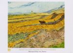 Enclosed Field with Ploughman Vincent  van Gogh