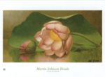 Lotus Bloosom, 1885 - 95 Martin  Heade Johnson