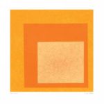 Fiery Yellow Jacqueline   Hearn
