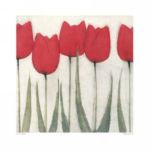 Tulip Series 8 Scott  Olson