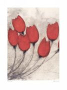 Tulipa Group 7 Scott  Olson