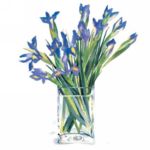 Irises Claire  Winteringham