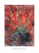 Gladioli Shirley  Felts