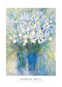 Blue Vases with Irises Shirley  Felts