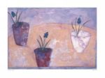 Hyacinths Debbie   George