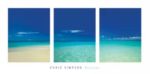 Barbuda Chris  Simpson