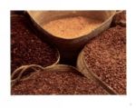 Beans, Zanzibar Rolf  Verres