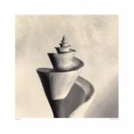Pilgrimage Graeme  Harris