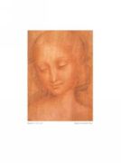 Study for the Head of the Virgin   Giampietrino