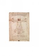 Schema delle proporzioni Leonardo  da Vinci
