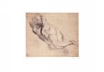 Study of a Male Torso Peter Paul  Rubens