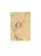 Study for the Figure of Christ Peter Paul  Rubens