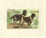 Untitled   Animals & Birds