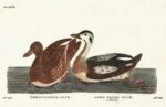 Untitled   Animals & Birds