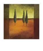 TREES IV Hans  Paus