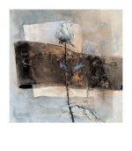 One rose  Heleen  Vriesendorp