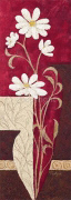 DAISIES I Teresa  Angelli
