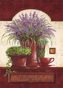 LAVANDA Claudia  Ancilotti