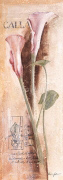 CALLA Anna  Gardner