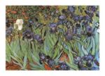 Irises, 1889 Vincent  van Gogh