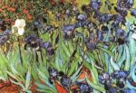 Irises, 1889 Vincent  van Gogh