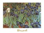 Irises, 1889 Vincent  van Gogh