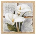 CALLA LILLY POETRY Laura  Martinelli