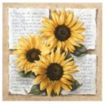 SUNFLOWER POETRY Laura  Martinelli