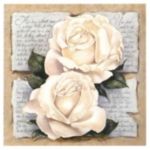 ROSE POETRY Laura  Martinelli
