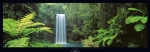 MILLAA MILLAA FALLS, QUEENSLAND, NORTH EAST AUSTRALIA Peter  Lik