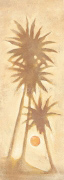 CASABLANCA M.G.  Rosini