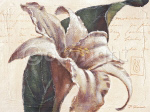 I REMEMBER LILLY Paula  Reed