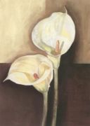Two white Callas C.  Namaz