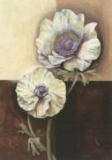 Two white Poppies C.  Namaz