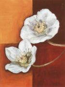 Bloom & Fire C.  Namaz