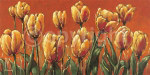 MY TULIP FIELD   Mona