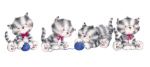 ANIMAL FUN TIME III   Makiko