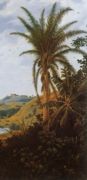 Brasilian View F.  Post