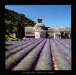 Provence - France Stuart  Black