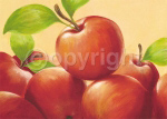 EVE'S APPLE Susanne  Bach
