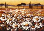 LAND OF MY SOUL Mauro  Cellini